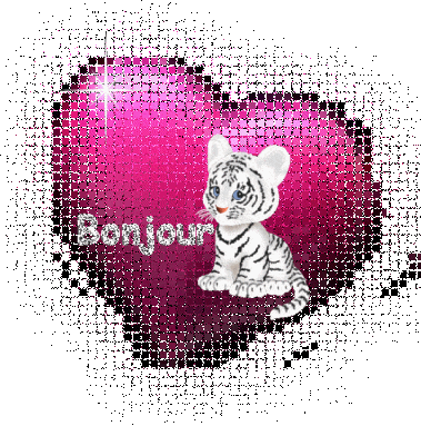 BONNE JOURNEE