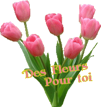 PAR SYMPATHIE