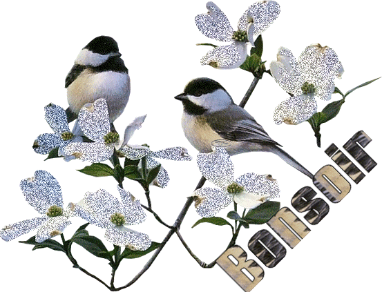LE BONHEUR