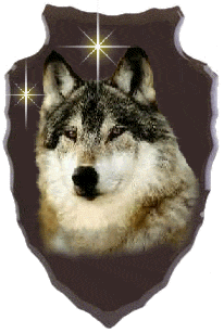 UN LOUP