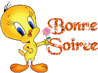 SOYONS COOL