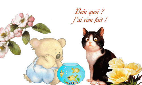 LES REPONDEURS FOUS