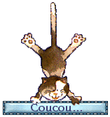 QUELQUES DICTONS