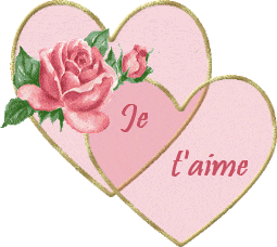 LAISSE MOI T'AIMER