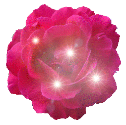 BONNE FETE MAMAN